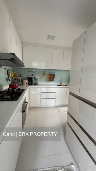 Skypark Residences (D27), Condominium #538563491